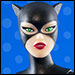 Catwoman (Concept)